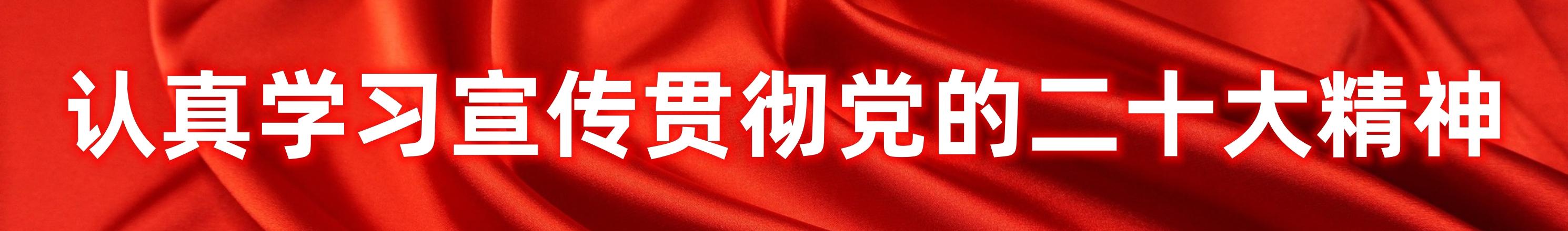 認(rèn)真學(xué)習(xí)宣傳貫徹黨的二十大精神